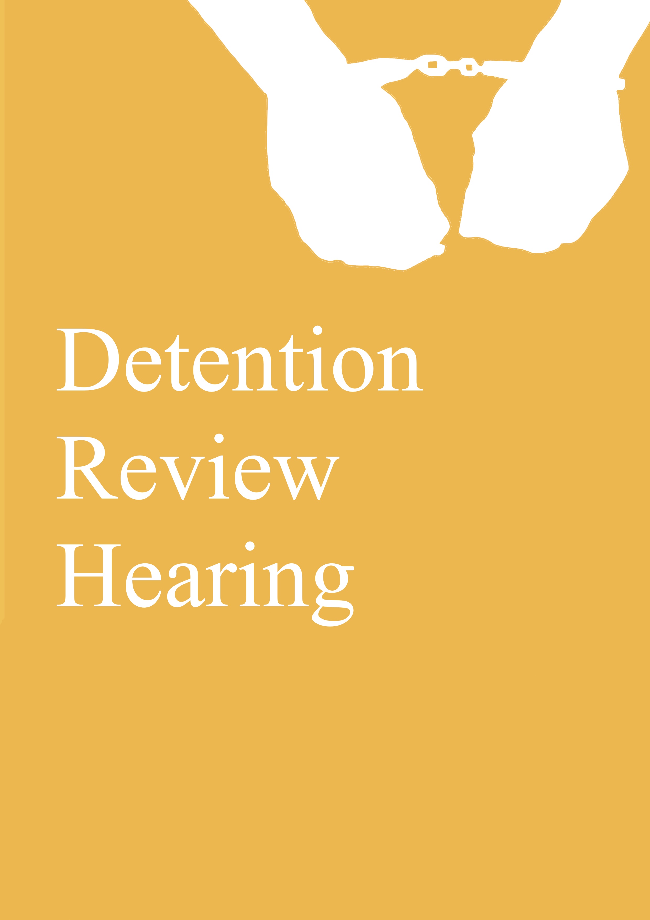 Detention Review Law Services